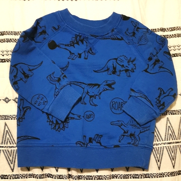 Carter's Other - ✨5/$25✨Carter's blue dinosaur sweatshirt, 6 months